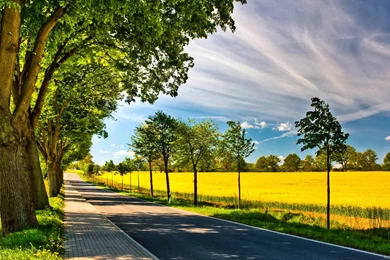 54 HD Wallpapers Photos Download Free