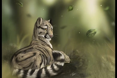 Clouded   DeviantArt