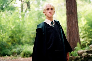 Wallpapers Draco Malfoy 1024x768