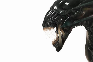 Xenomorph Wallpapers 1920x1200   (