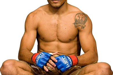 Pins For: Jose Aldo Kick From Pinterest