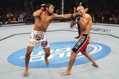 History In The Making: Jose Aldo And Mark Hominick Steal The Show ...