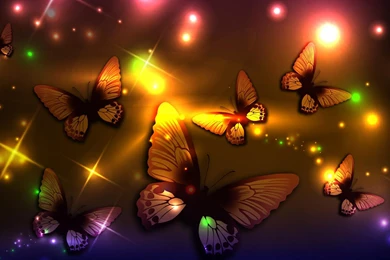 Butterflies Wallpapers