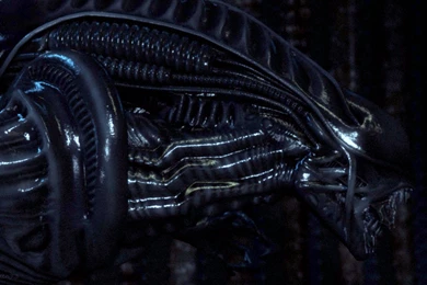 Image   Xenomorph Desktop 1440x900 Hd wallpaper 997764.jpg ...