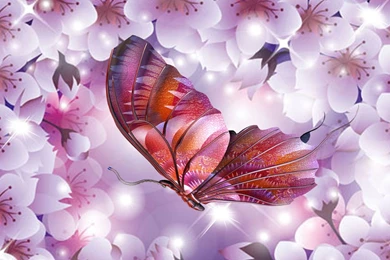 3D Butterfly Wallpapers HD 08, HD Desktop Wallpapers
