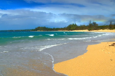 Hawaii Beach Screensavers