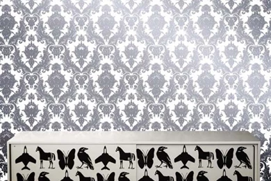 Damsel Oyster Designer Removable Wallpapers For Dorms
