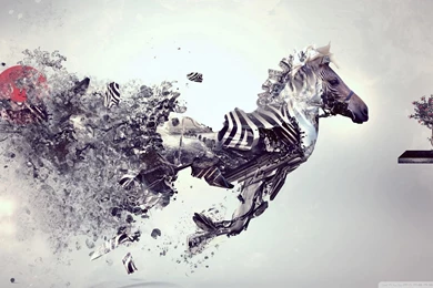 Wallpapers Explosion Zebra Abstract   1920 X 1080   Animals Pets ...
