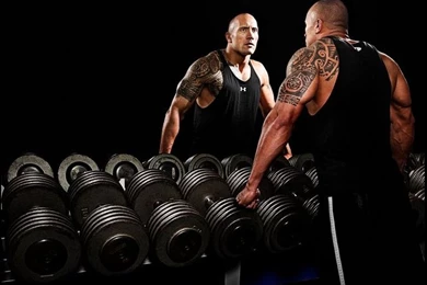 The Rock Wallpapers Collection (46+)