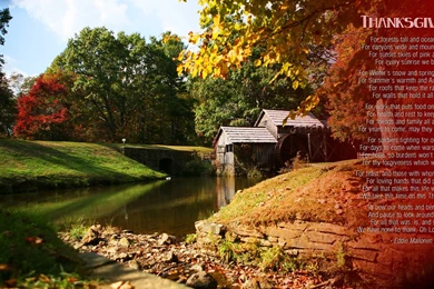 Free Thanksgiving Computer Wallpaper Backgrounds   Wallpapers Cave