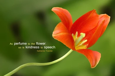 Inspirational Wallpapers   The Secret Wallpapers (22453264)   Fanpop