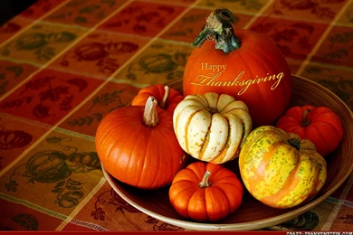 Pretty Wallpaper Backgrounds 31122 HD Wallpapers