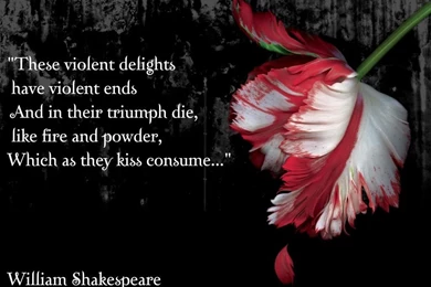 Twilight Saga Backgrounds   Wallpapers Cave