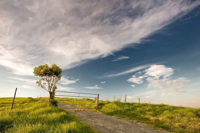 Downloadable Desktop Backgrounds   Wallpapers High Definition