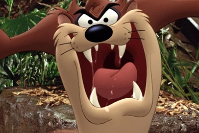 Download Free HD Wallpapers : Wallpapers Tazmania   Download Free ...