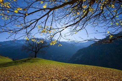 Free Nature Wallpapers   ABestHdWallpapers.Com