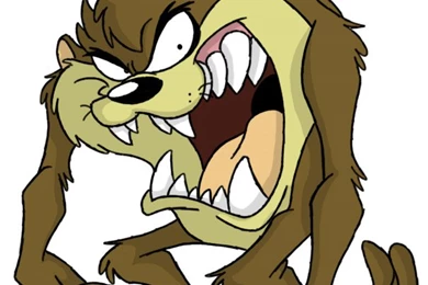 Animation Pictures Wallpapers: Tazmania Wallpapers