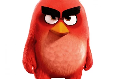 Angry Birds Games Wallpapers Hd (5)   Facebook Cover HD Wallpapers ...