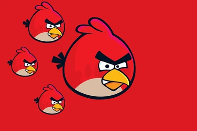 Angry Bird Hd Wallpapers   Wallpapers