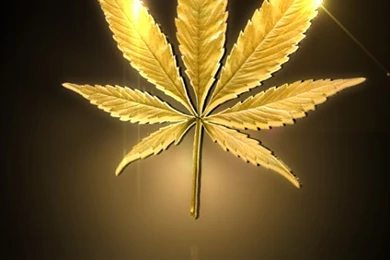 Marijuana Live Wallpapers   Android Apps On Google Play
