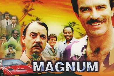 Magnum Pi Higgins Quotes. QuotesGram