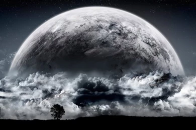 768 Wallpapers   Images   Tbwnz.com