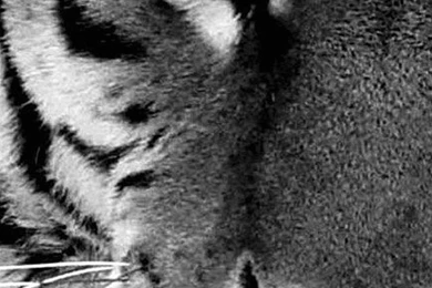 Wallpapers Nokia Lumia Blackberry Z10 768 X 1280 Awesome Hi Quality