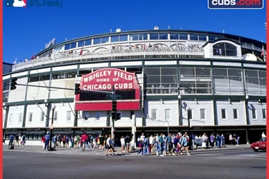 Cubs Wallpapers For Your Desktop