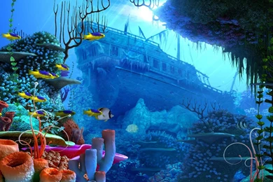 Ocean Fish Live Wallpapers   Android Apps On Google Play