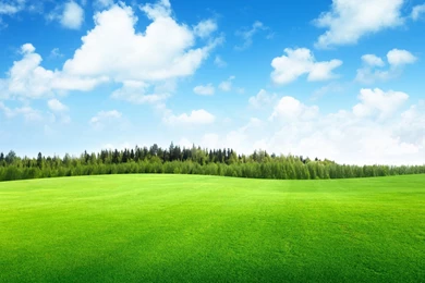 Green Nature Beautiful Landscape Wallpapers HD For Desktop