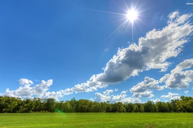 Clear Sky On A Sunny Day, Cloud, Field, Tree, Nature, 2560x1600 HD ...