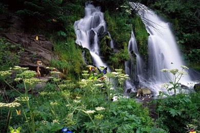 Download Popular Wallpapers 5 Stars: Most Popular Screen Savers ...