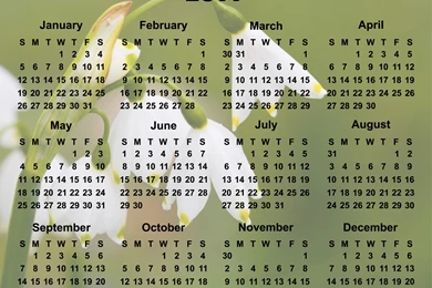 Calendar Desktop Backgrounds   Wallpapers HD Wide