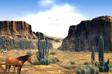 Hd Wallpapers 1080p Cowboys Wild West