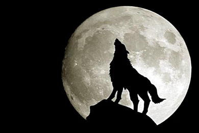 Anime Wallpaper: Death Note Ryuk Wallpapers HD HD Quality ...