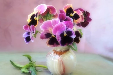 Home Decorated With Flowers, The Circular Vase Of Violets ...