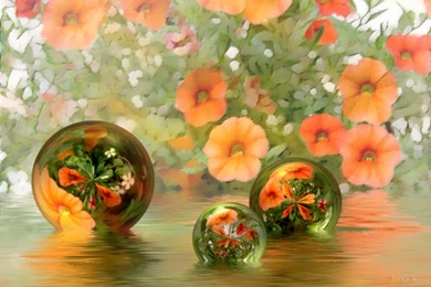 Beautiful Screensavers For Desktop