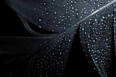 Black Live Wallpapers   Android Apps On Google Play