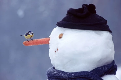 Wallpaper: Snowman Wallpapers