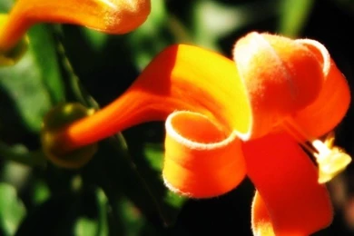 100 HD Phone Wallpapers For All Screen Sizes