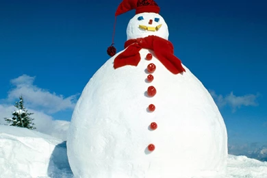 Snow Man Wallpapers 2015   Grasscloth Wallpapers