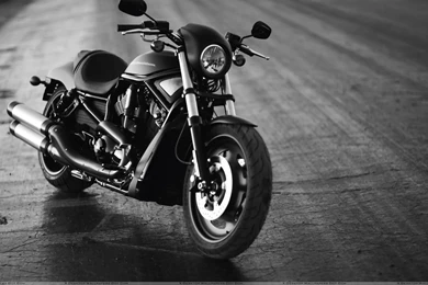 Harley Davidson Wallpapers High Quality