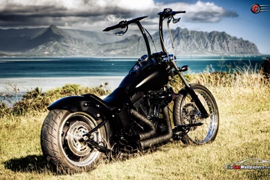 Harley Davidson Wallpapers Cool HD   Fullwidehd.com