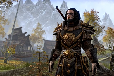 Elder Scrolls Online Nord Armor   Wallpaper.