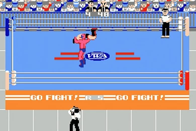 NESHQ Games Database   Pro Wrestling