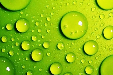 Green Wallpapers For Android & IPhones   Phone Backgrounds