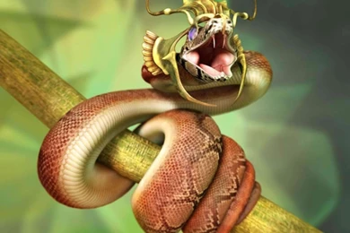 Snake Wallpapers   Wallpapers Cave