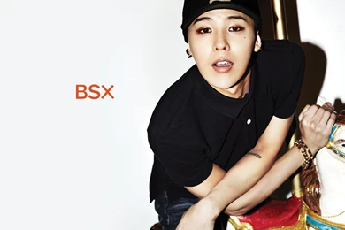 Wallpaper] G DRAGON (from BIGBANG) @ 2013 BSX S/S...
