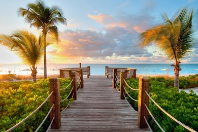 1920x1080 Caribbean Wood Beach Wallpapers