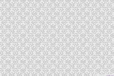 White Daisy In A Blue Bottle, Yellow Backgrounds HD 16:9 16:10 ...